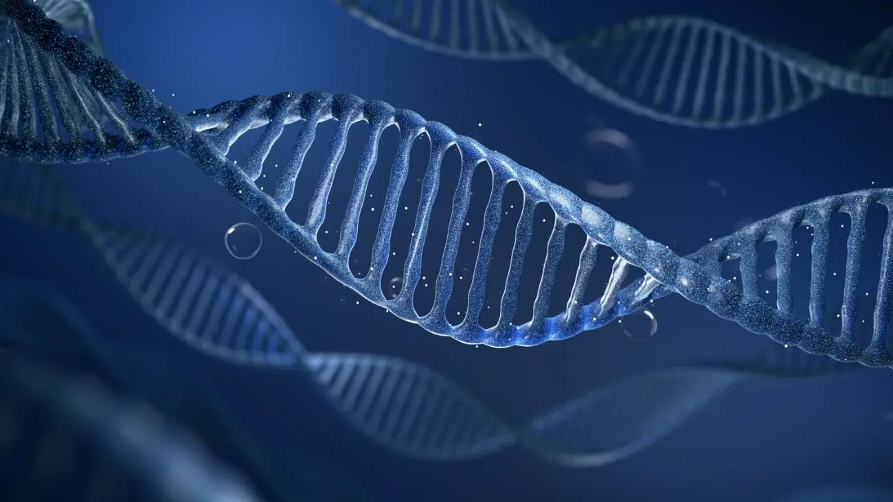 dna strand