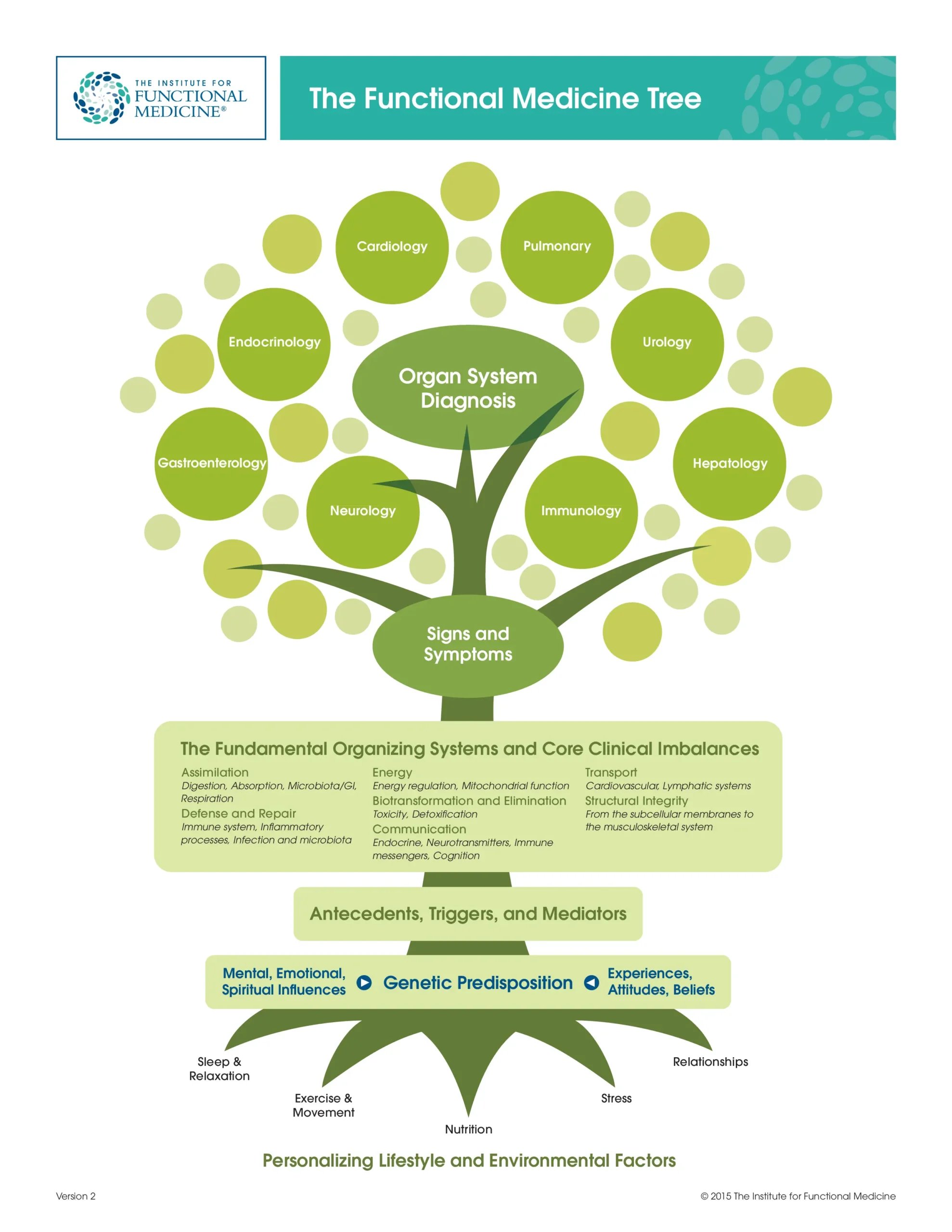 Functional Medicine Tree
